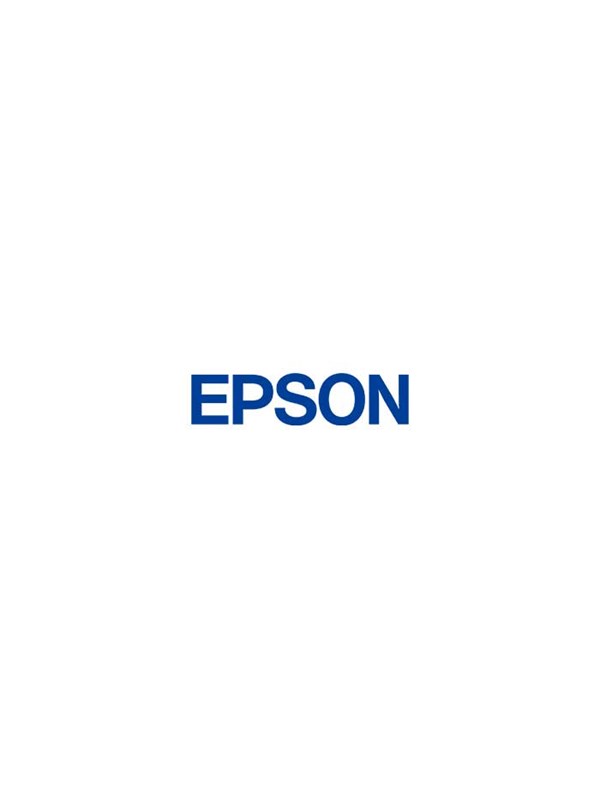 Advanced   Printer Additional Drying System fra Epson