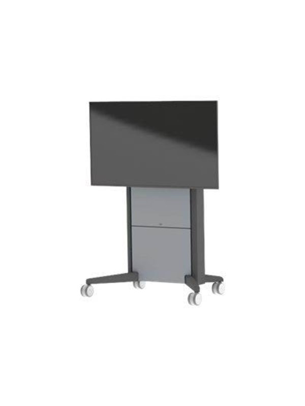 Presence Mobile 120 Kg From 200 X 100 Mm fra Sms